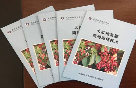 微信图片_20181207154750.jpg